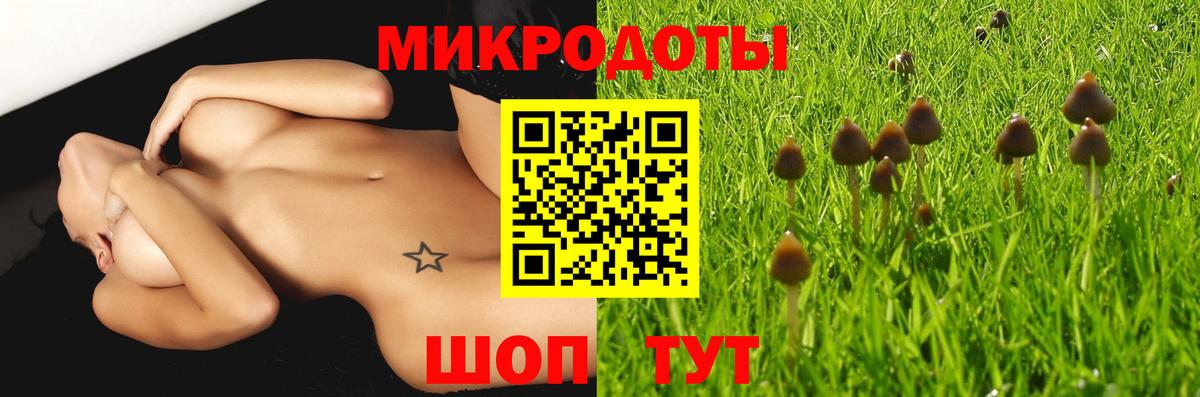 Псилоцибиновые грибы Cubensis Новодвинск